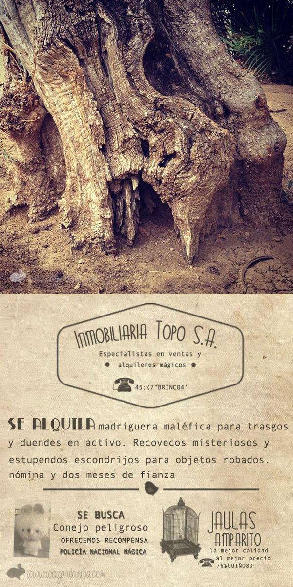 d015210f7b5215d31c06f2c4e646a0af