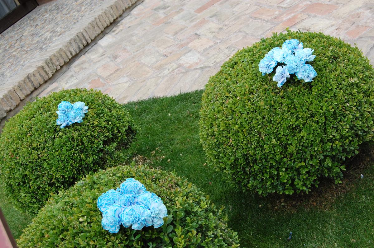 colores-de-boda-decoracion-clavel-azul-ceremonia-maria-jesus-victor