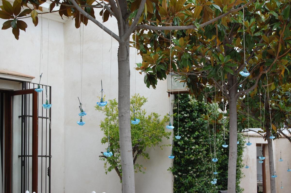 colores-de-boda-ceremonia-clavel-suspendido-arboles-maria-jesus-victor