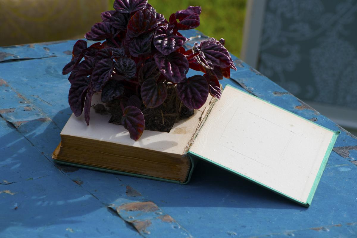 Colores-de-boda-rincon-sillones-sofas-antiguos-baul--laura-y-raul_0036