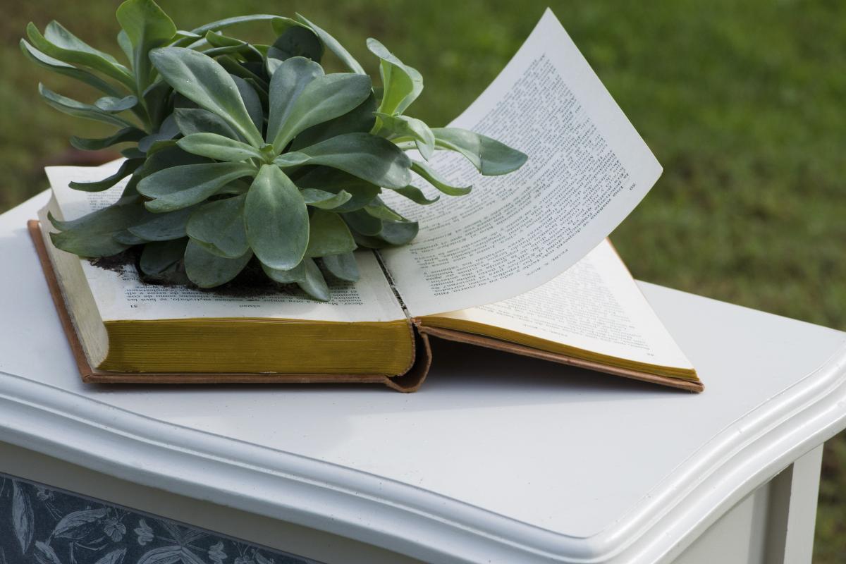 Colores-de-boda-rincon-sillones-sofas-antiguos--laura-y-raul_0037