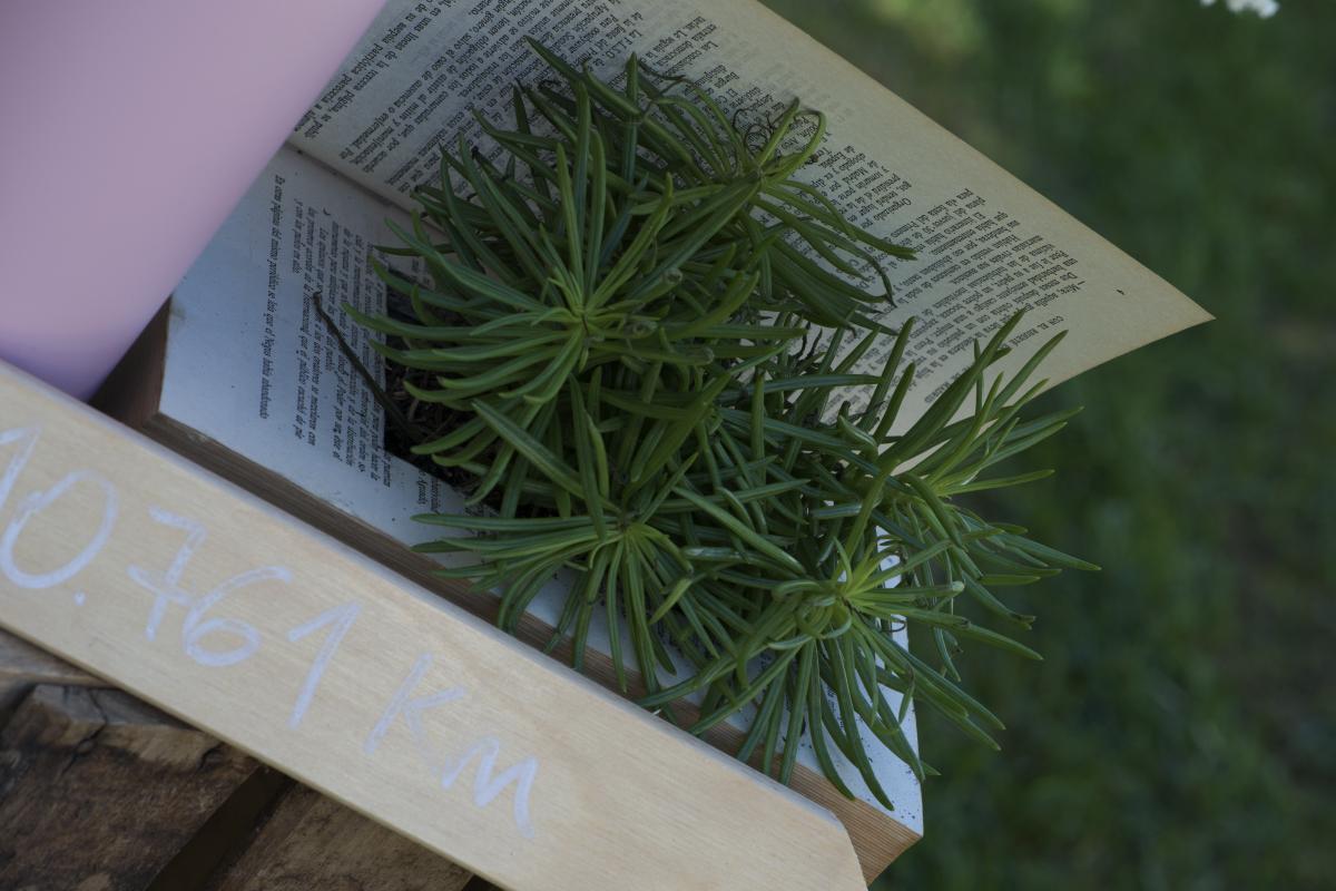 Colores-de-boda-rincon-bicicleta-vintage-laura-y-raul_0116
