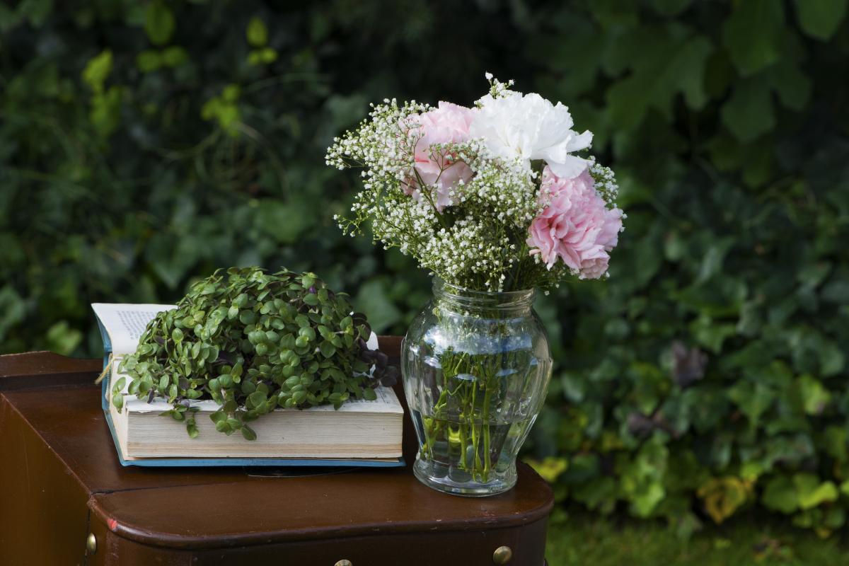 Colores-de-boda-photobooth-libro-planta-laura-y-raul_0024