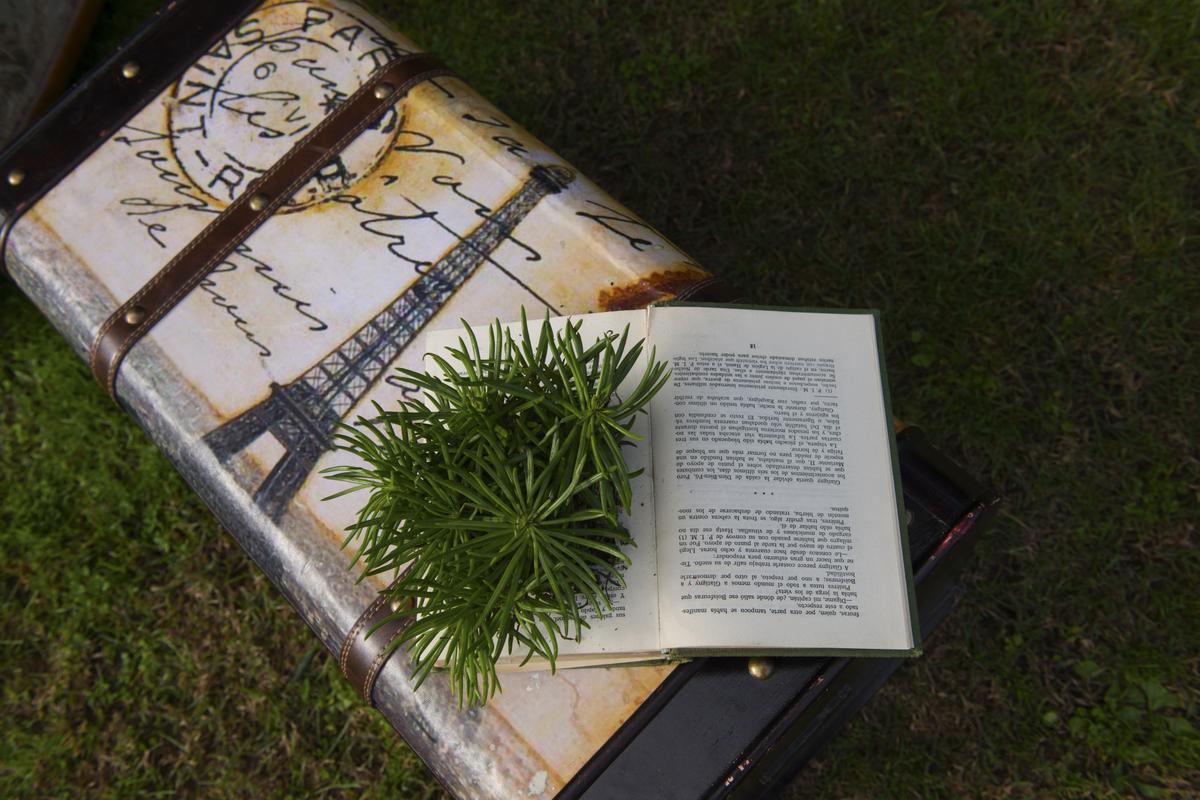 Colores-de-boda-photobooth-detalle-baul-laura-y-raul_0016