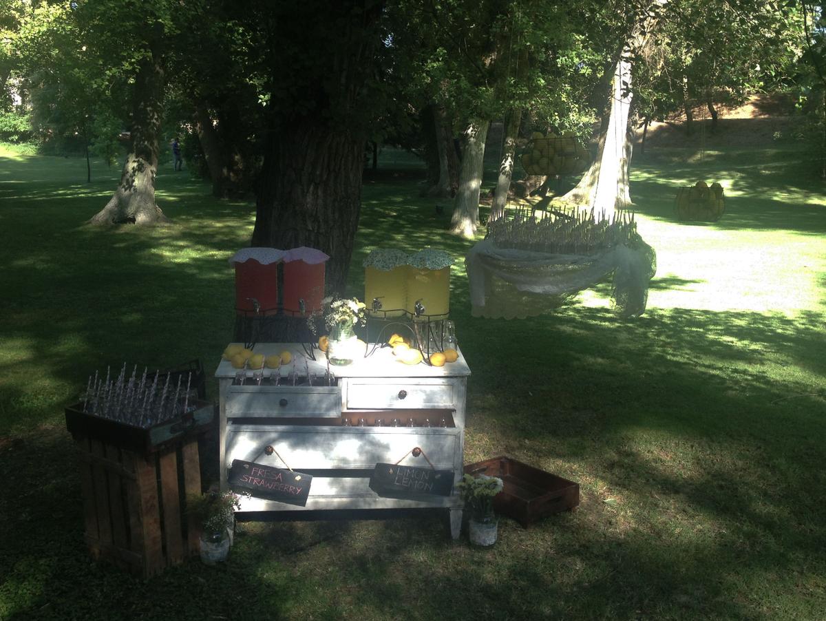 colores-de-boda-puesto-limonada-andrea-dani