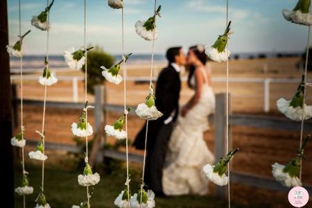 colores-de-boda-claveles-suspendidos-ceremonia-civil