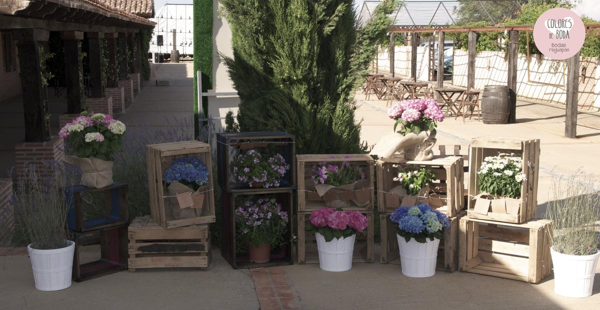 colores-de-boda-seating-plan-plantas