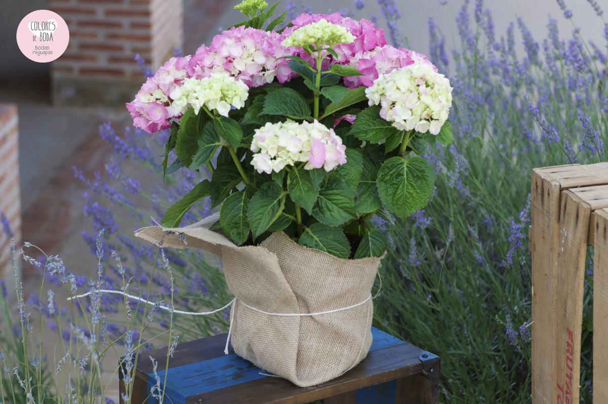 colores-de-boda-seating-plan-detalle-flores-hortensias-rosas