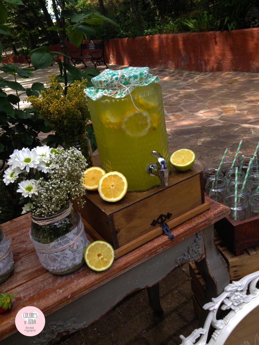 colores-de-boda-corner-limonada-detalle-limon-chiara-manuel