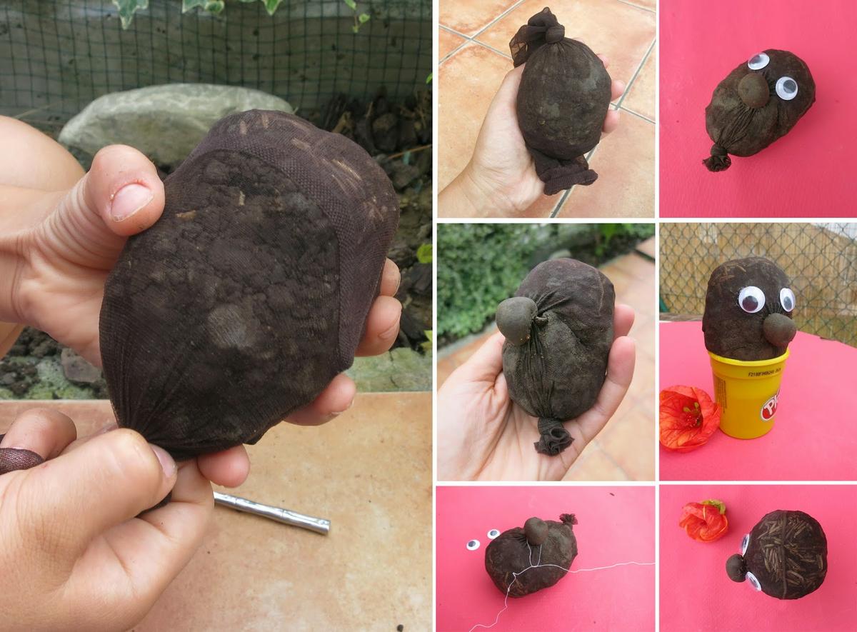 Manualidad y cuento el señor Hortiga3