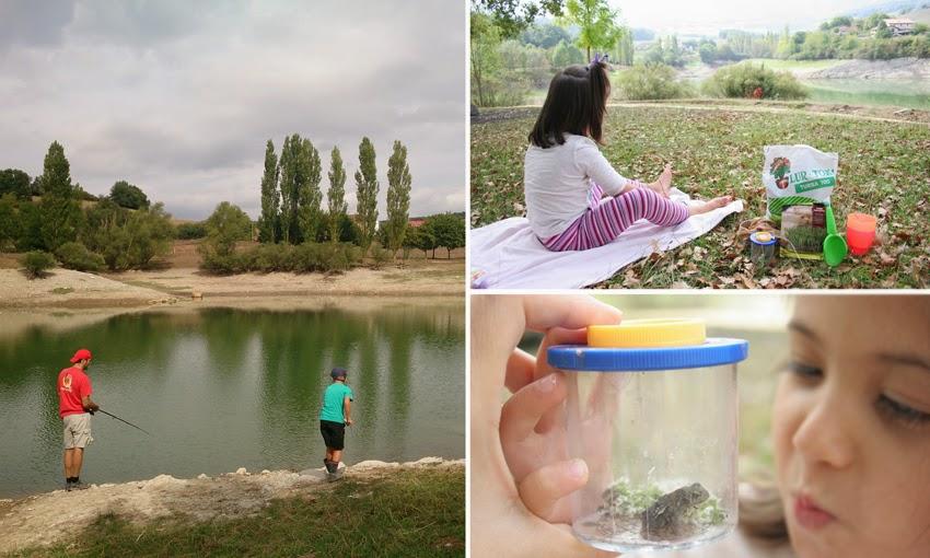 Manualidad y cuento el señor Hortiga hecho con tierra y semillas en media5