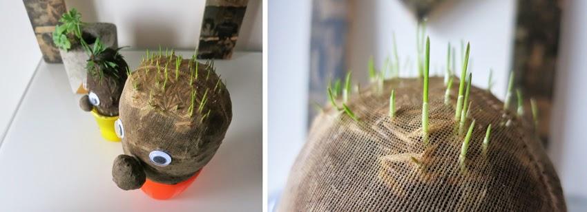 Manualidad y cuento el señor Hortiga hecho con tierra y semillas en media12