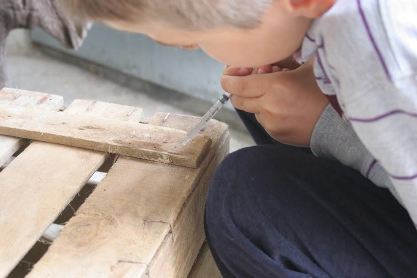 Como eliminar la carcoma de la madera4