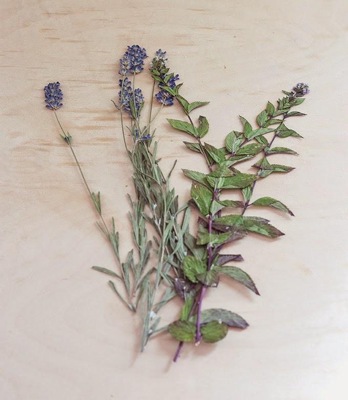 Diy velas aromáticas de lavanda en botes de cristal3