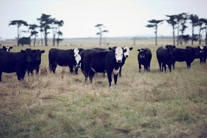 Bodas de blog - Jen and Jon-38