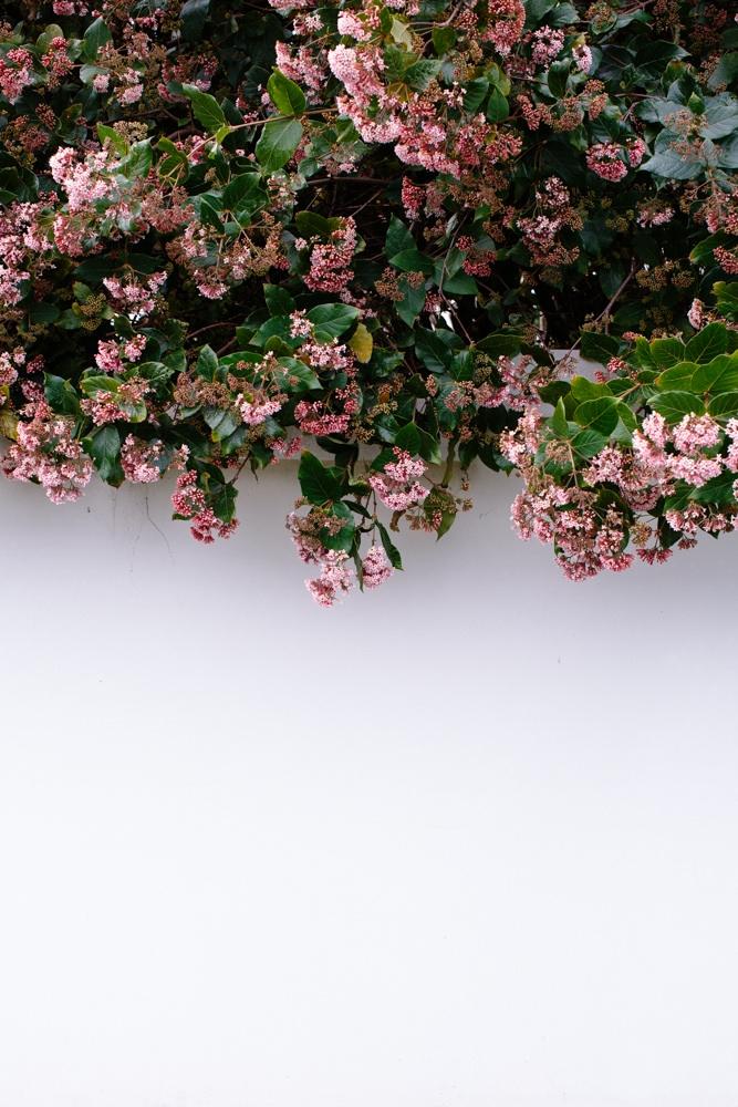 14850194186_24269fca00_b