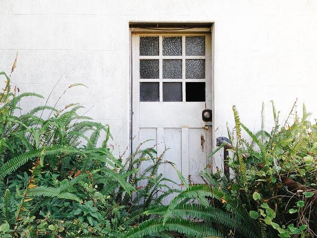 14826606876_547b04da7d_z