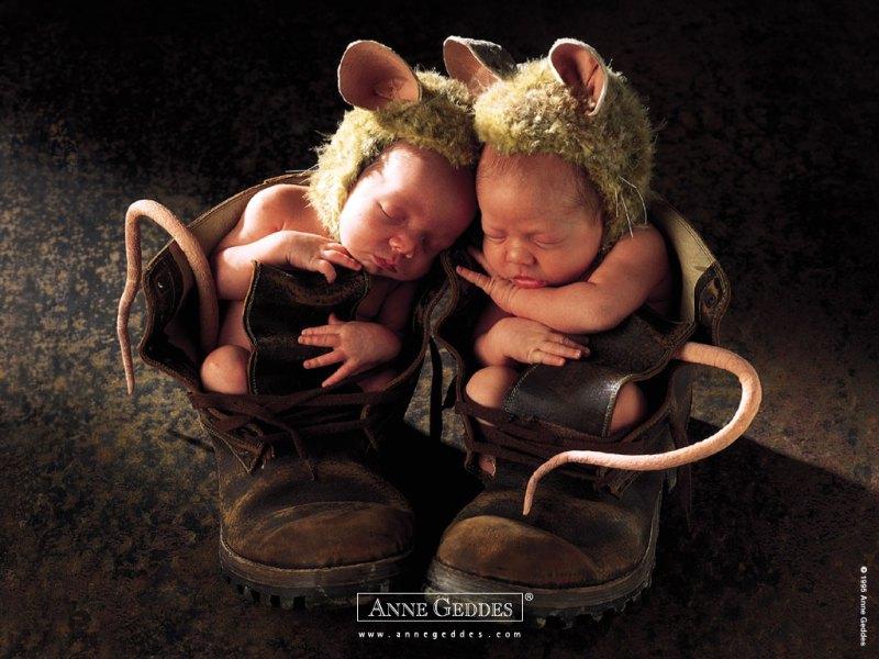 anne-geddes