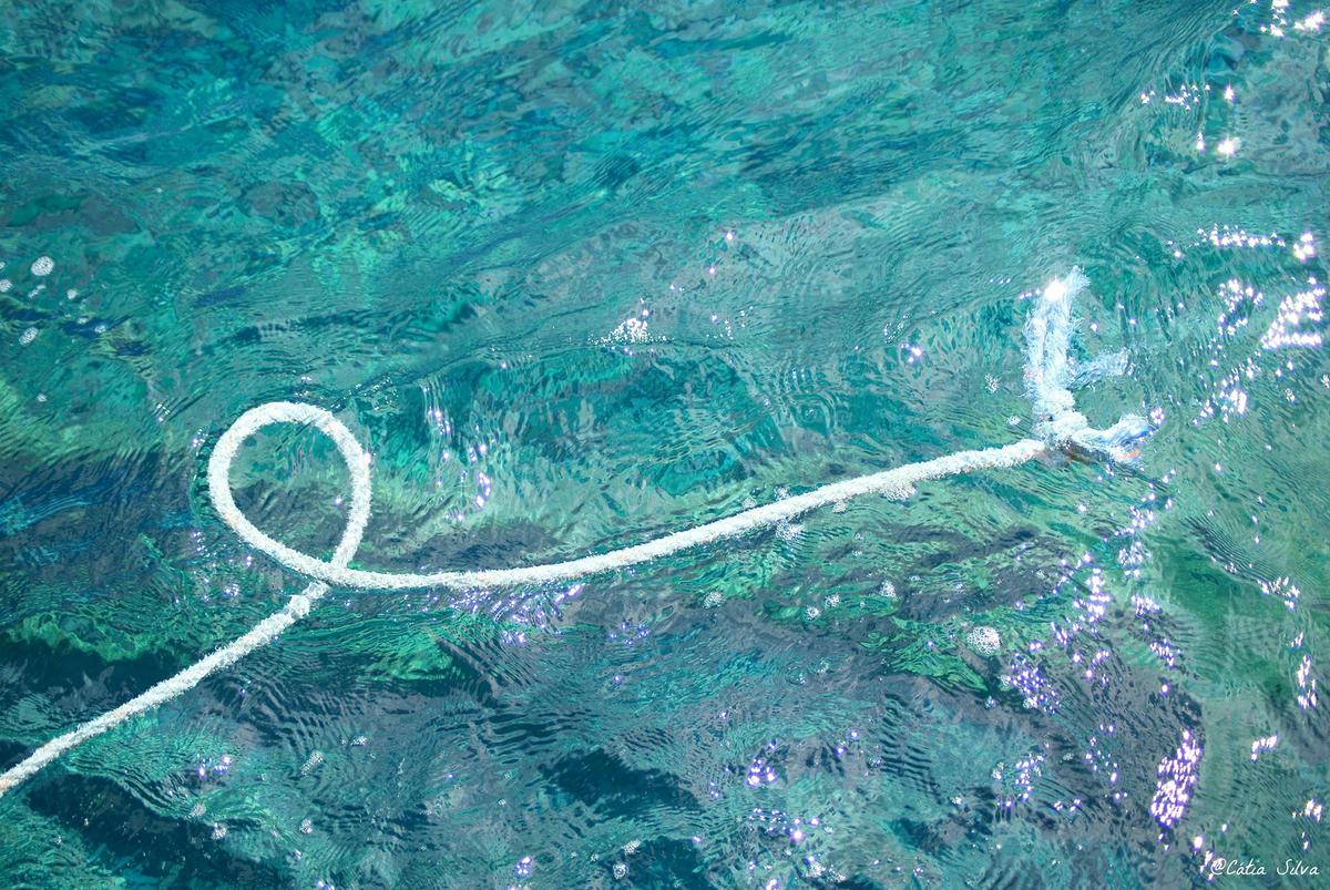 Madeira - Calhau da Lapa (12)