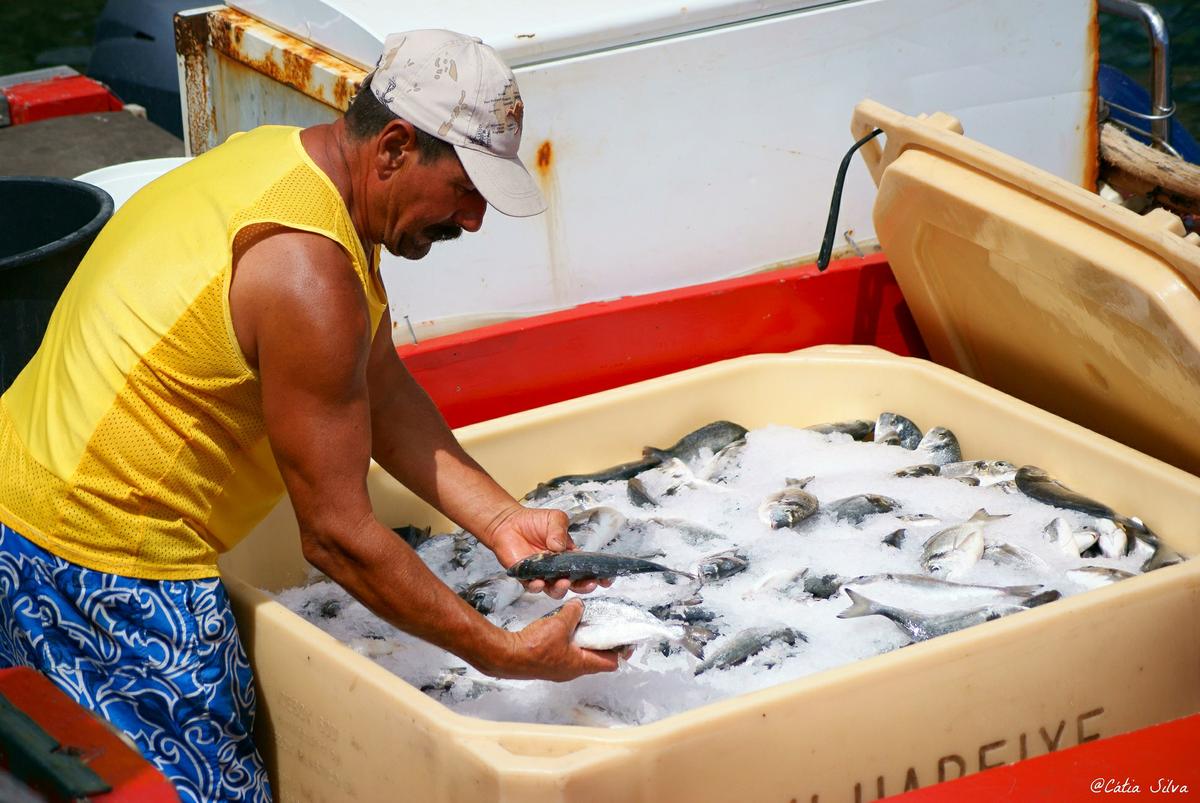 Madeira - Calhau da Lapa (13)