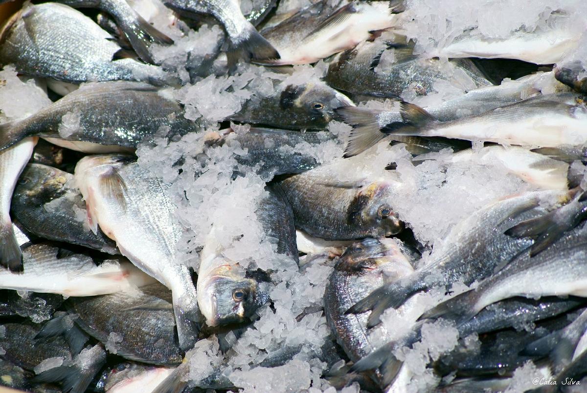 Madeira - Calhau da Lapa (14)