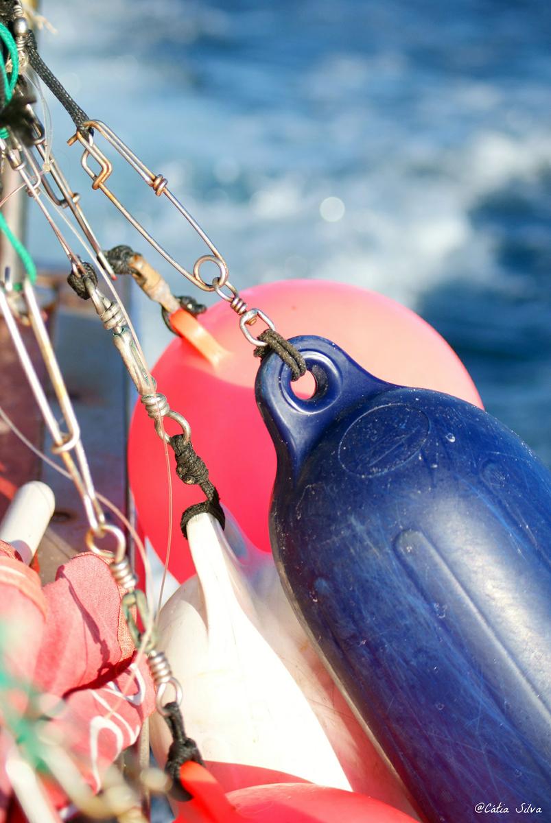 Madeira - Calhau da Lapa (16)