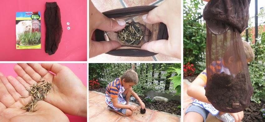 Manualidad y cuento el señor Hortiga hecho con tierra y semillas en media2