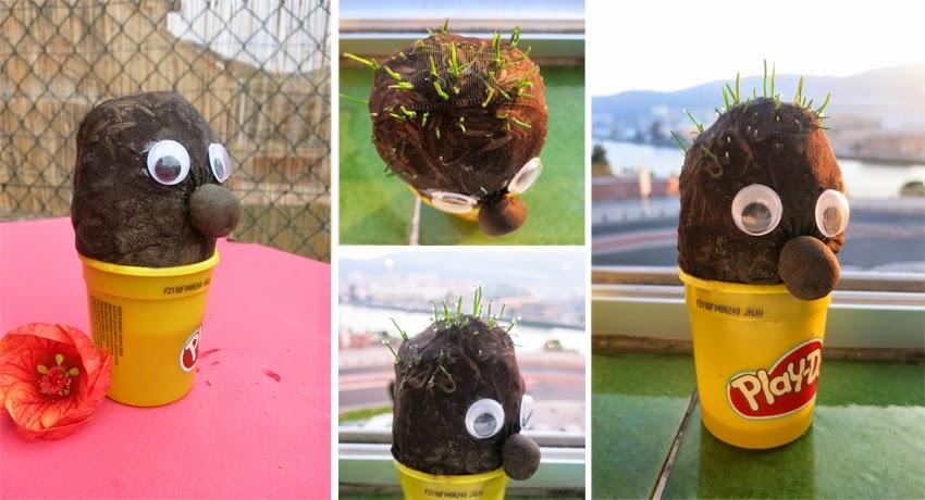 Manualidad y cuento el señor Hortiga hecho con tierra y semillas en media3