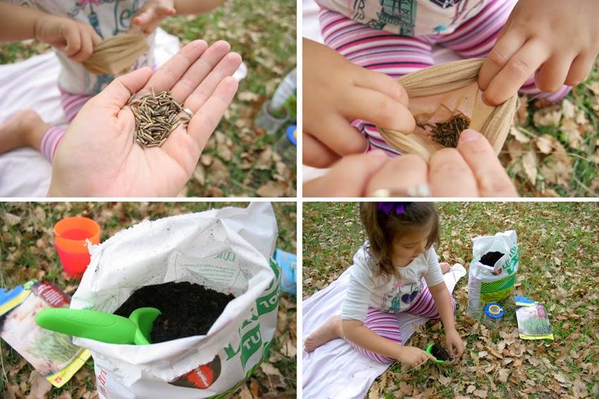 Manualidad y cuento el señor Hortiga hecho con tierra y semillas en media7