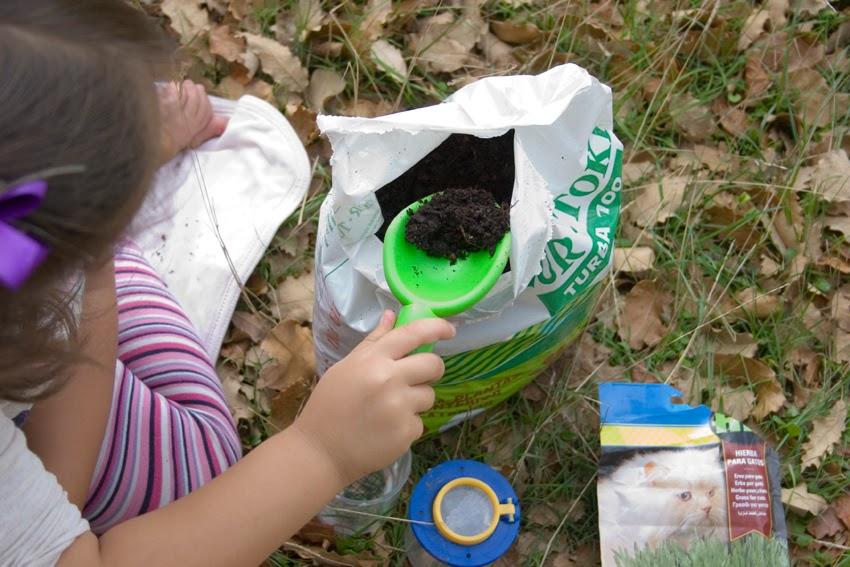Manualidad y cuento el señor Hortiga hecho con tierra y semillas en media8