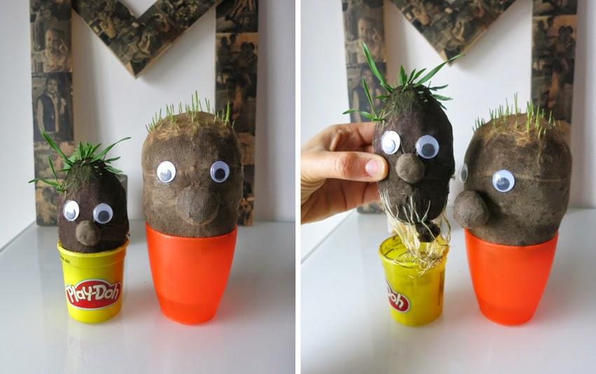 Manualidad y cuento el señor Hortiga hecho con tierra y semillas en media13