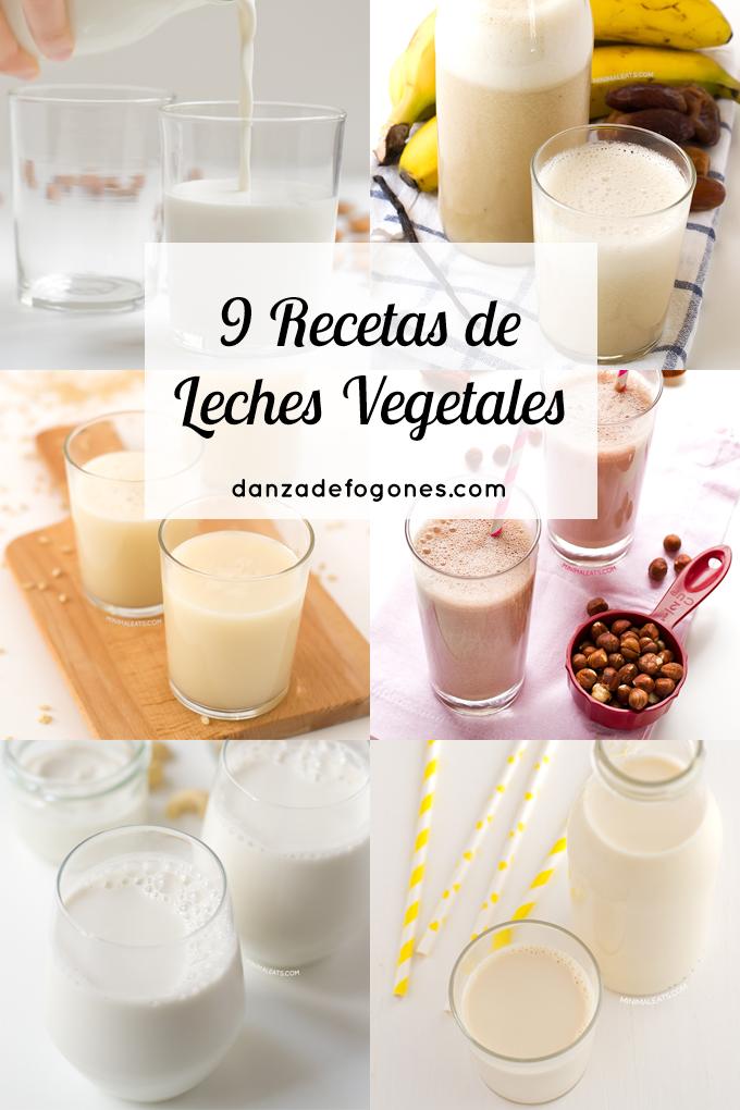 9 Recetas de Leches Vegetales | danzadefogones.com #danzadefogones #vegano #vegana #singluten #receta