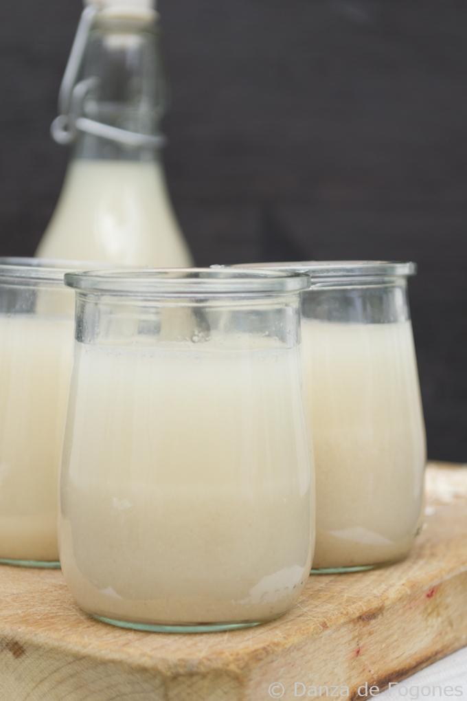 Leche de Avena | danzadefogones.com #danzadefogones #vegano #vegana #singluten #receta