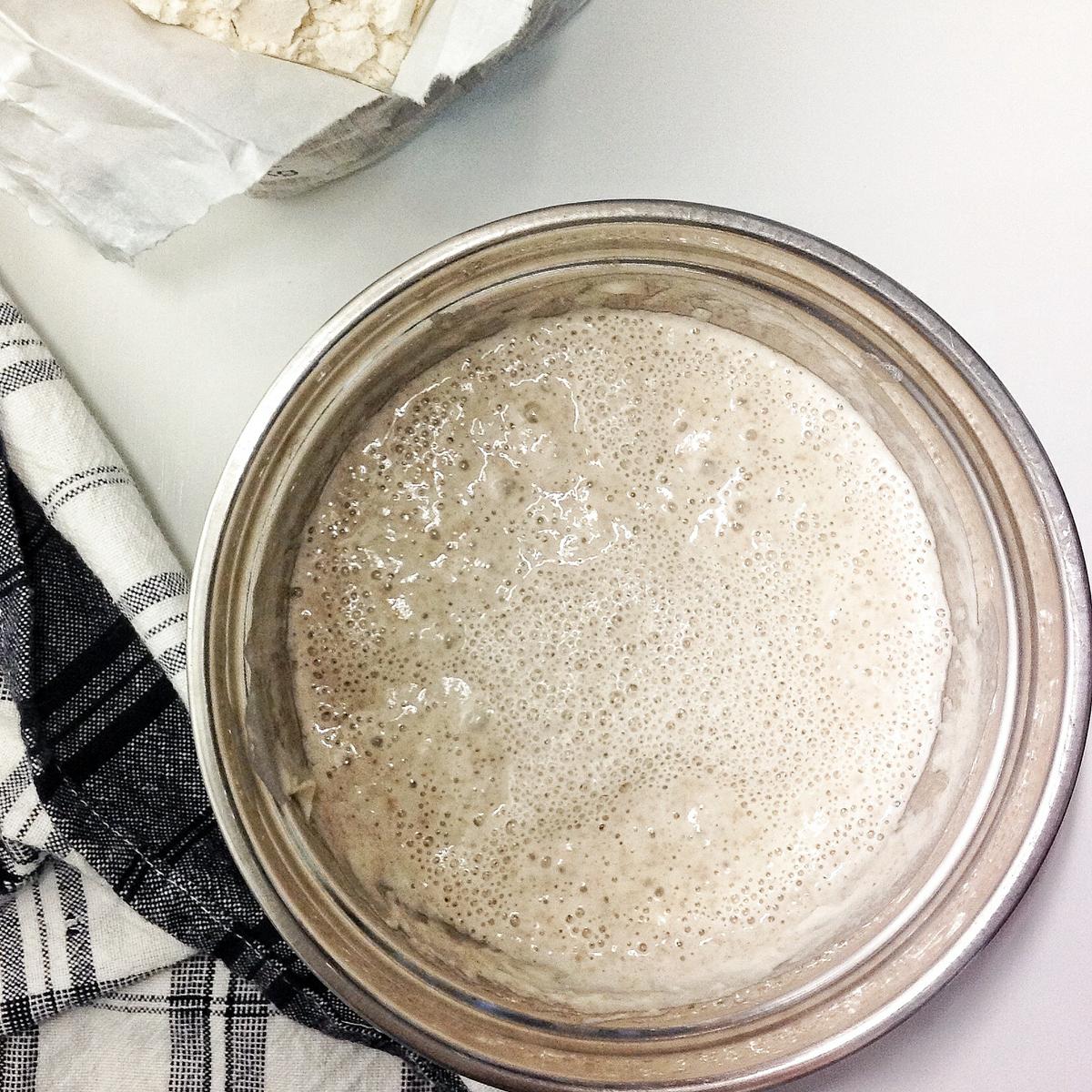 lacucharazul_hogaza_masa_madre2