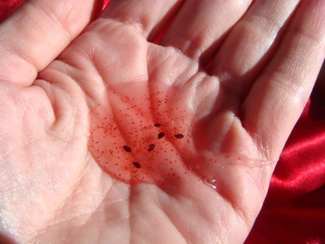 Nueva Colección de Frutos del Bosque Rojos de Yves Rocher