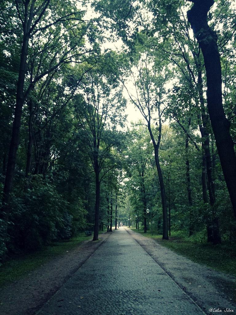 Around Berlin (4) Tiergarten