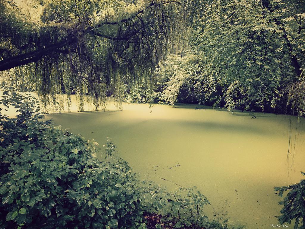 Around Berlin (6) Tiergarten