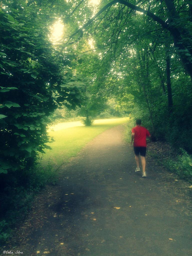 Around Berlin (2) Volkspark Rehberge