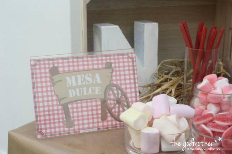 COWBOY BIRTHDAY PARTY 4