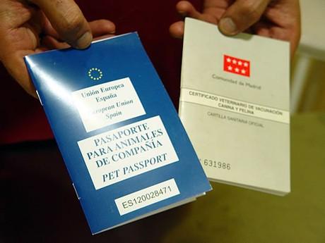 viajar con perro europa