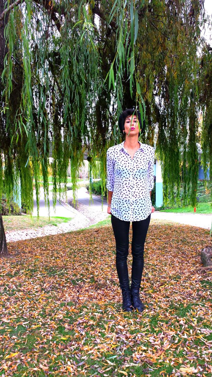 Mariposas en el aire