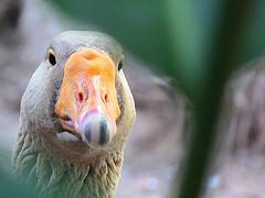 Centro de Arte La Estancia
