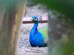 Centro de Arte La Estancia