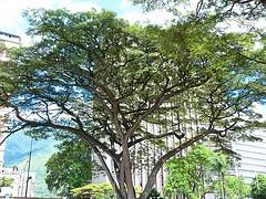 Centro de Arte La Estancia