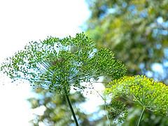 Centro de Arte La Estancia