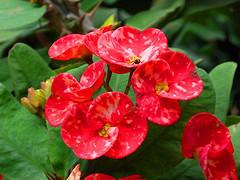 Centro de Arte La Estancia