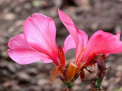 Centro de Arte La Estancia