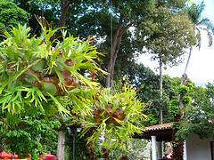 Centro de Arte La Estancia