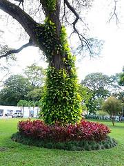 Centro de Arte La Estancia