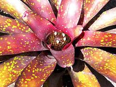 Centro de Arte La Estancia